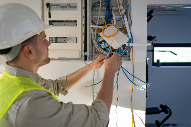 Best Affordable Electrician  in Carver, MN
